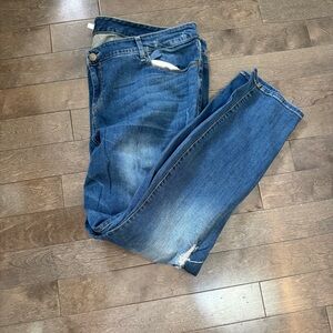 Torrid Deep Blue Jeans